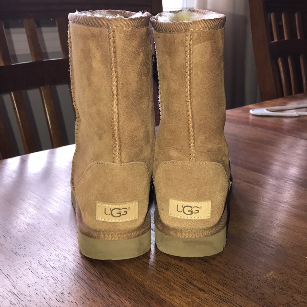 Short Chestnut UGGs